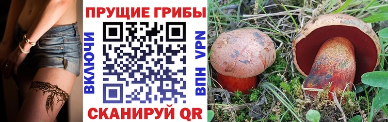 мега сайт  закладка  Могоча  Псилоцибиновые грибы мухоморы 